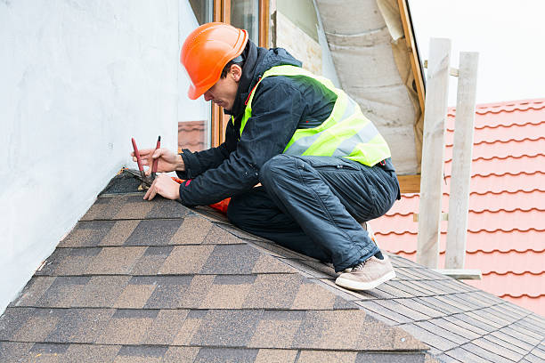 Best Roof Gutter Cleaning  in Terrytown, LA