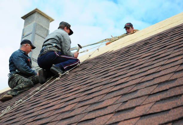 Quick and Trustworthy Emergency Roof Repair Services in Terrytown, LA
